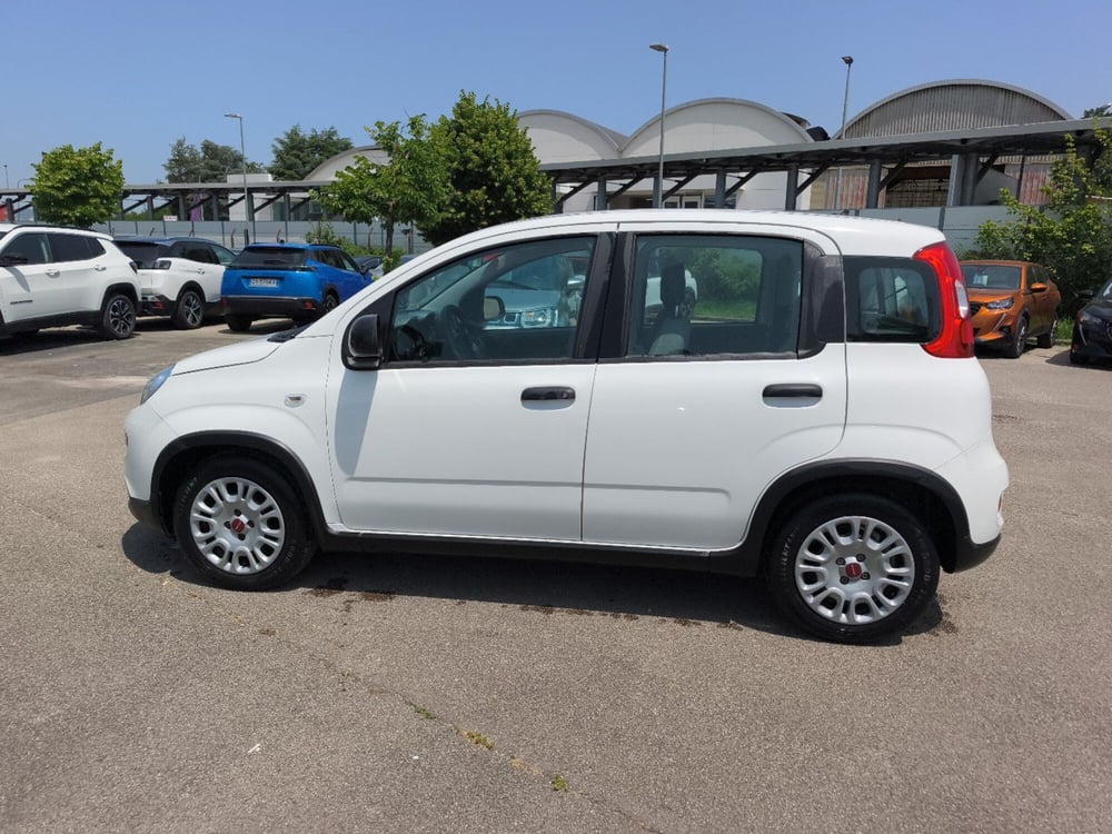 Fiat Panda usata a Frosinone (3)
