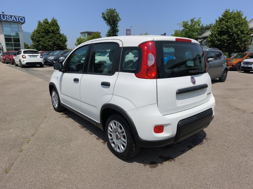 Fiat Panda usata a Frosinone (4)