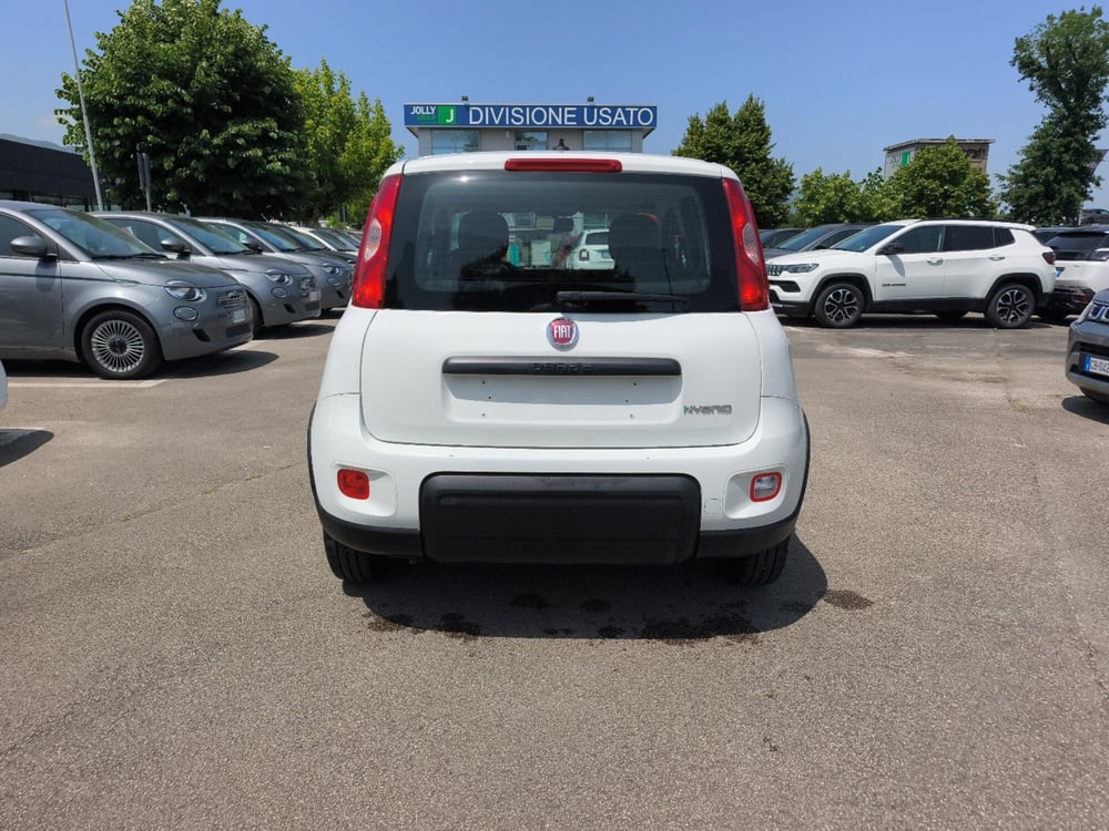 Fiat Panda usata a Frosinone (5)