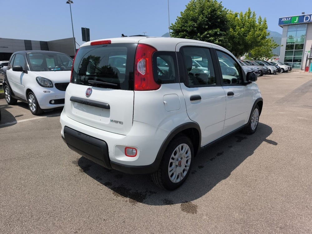 Fiat Panda usata a Frosinone (6)