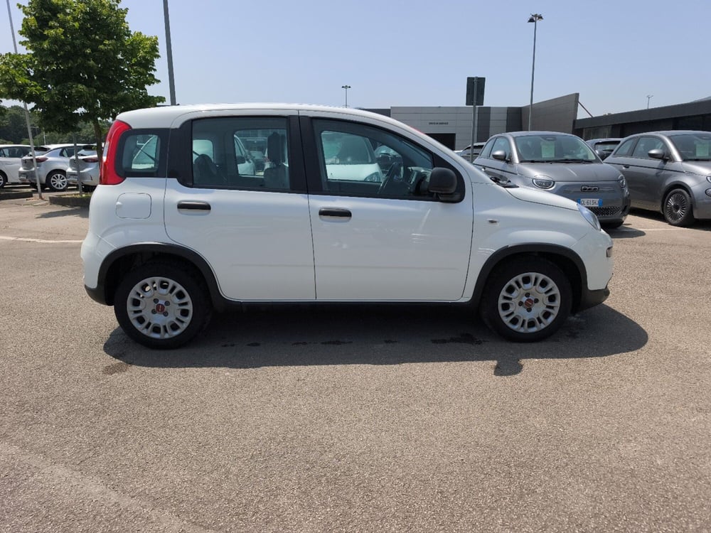 Fiat Panda usata a Frosinone (7)