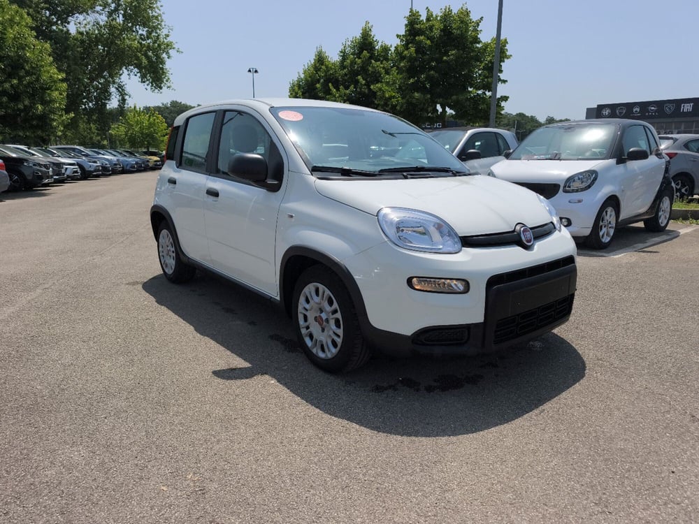 Fiat Panda usata a Frosinone (8)