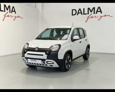 Fiat Panda Cross 1.0 firefly hybrid Cross s&amp;s 70cv 5p.ti del 2024 usata a Solaro