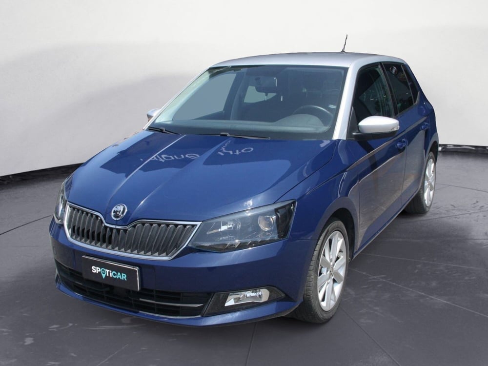 Skoda Fabia usata a Catania