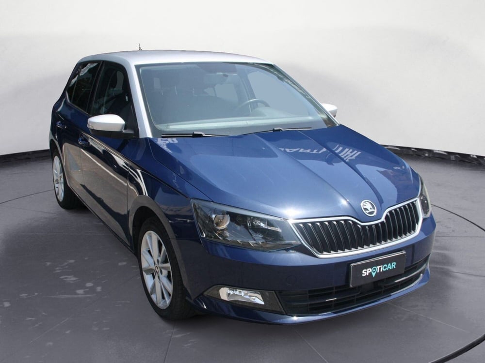 Skoda Fabia usata a Catania (2)