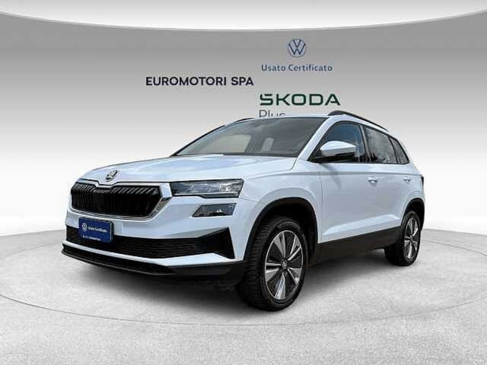 Skoda Karoq usata a Grosseto