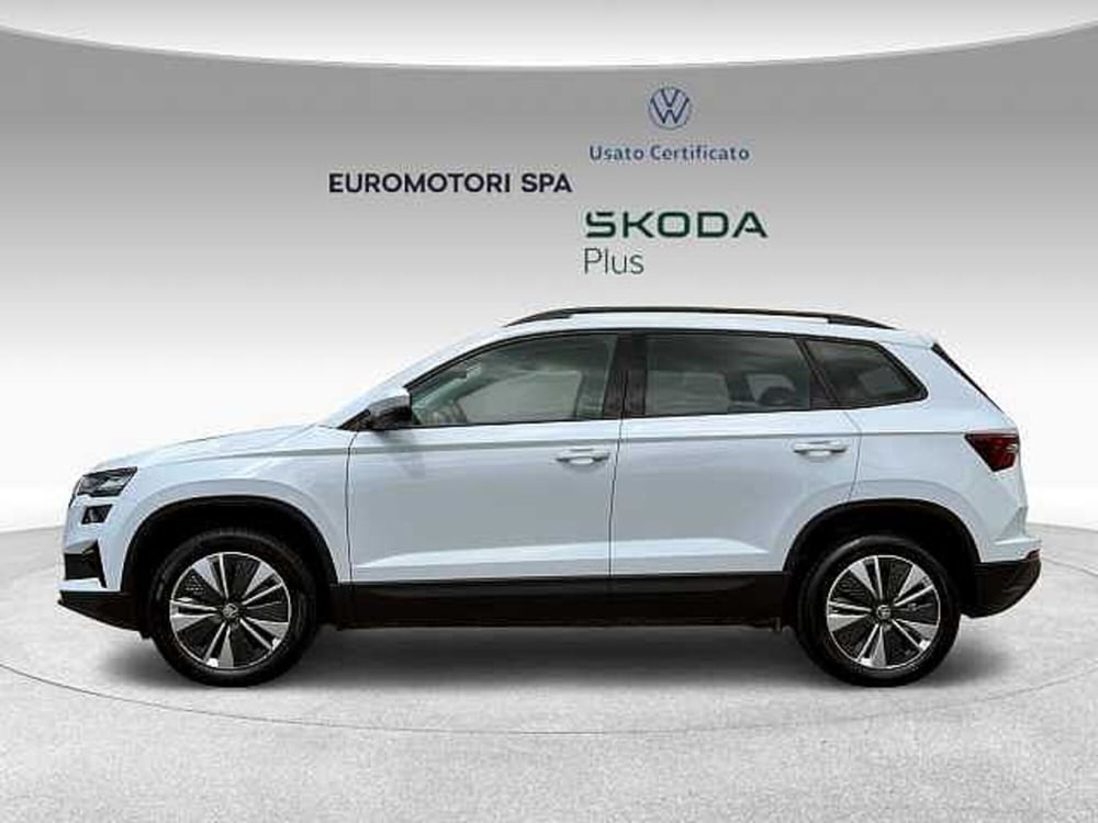 Skoda Karoq usata a Grosseto (2)