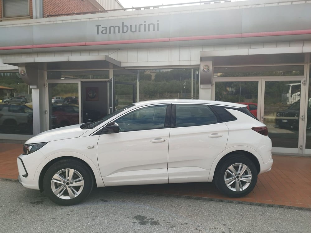 Opel Grandland nuova a Arezzo (4)