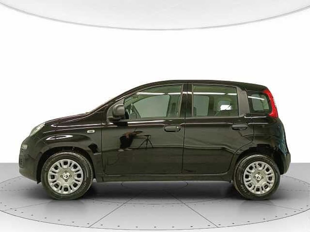 Fiat Panda nuova a Teramo (2)