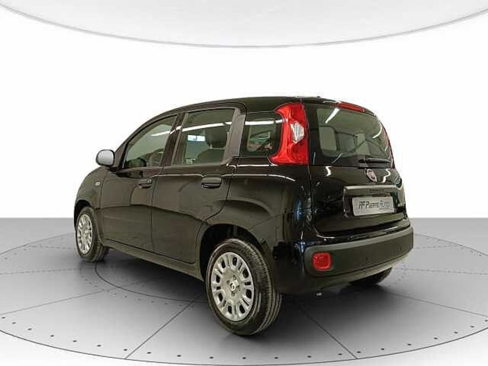 Fiat Panda nuova a Teramo (3)