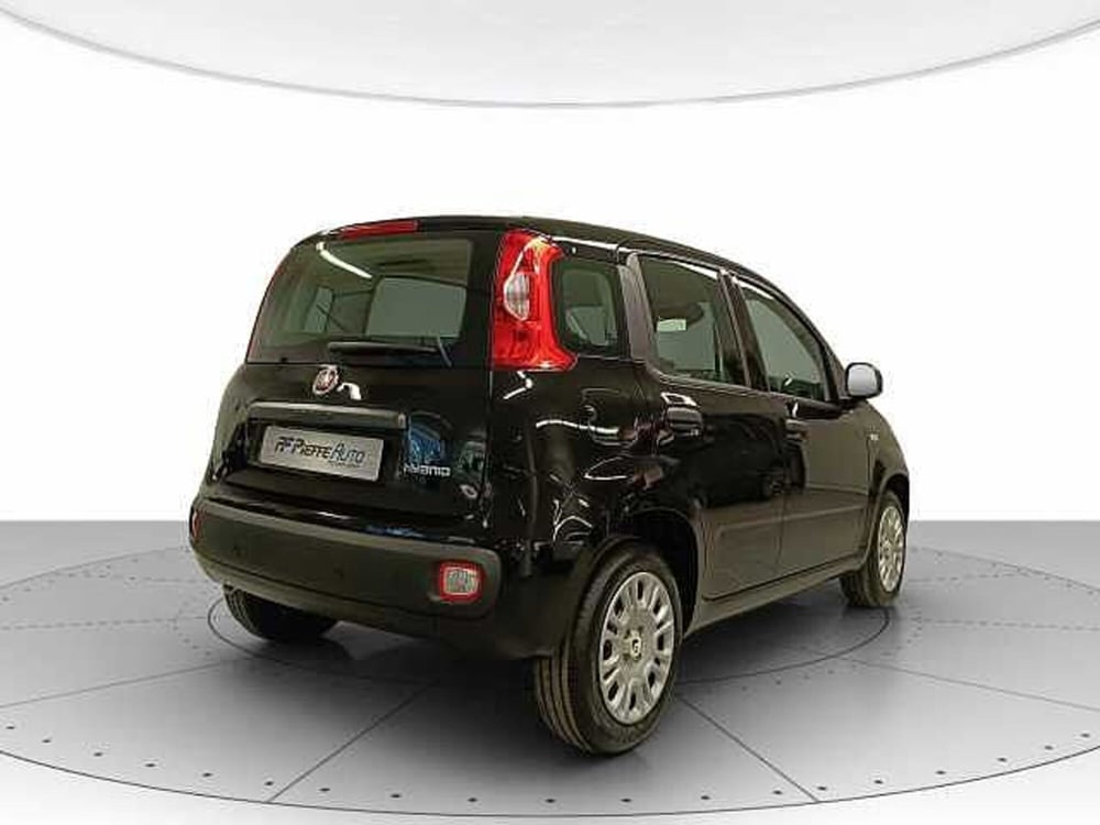 Fiat Panda nuova a Teramo (4)