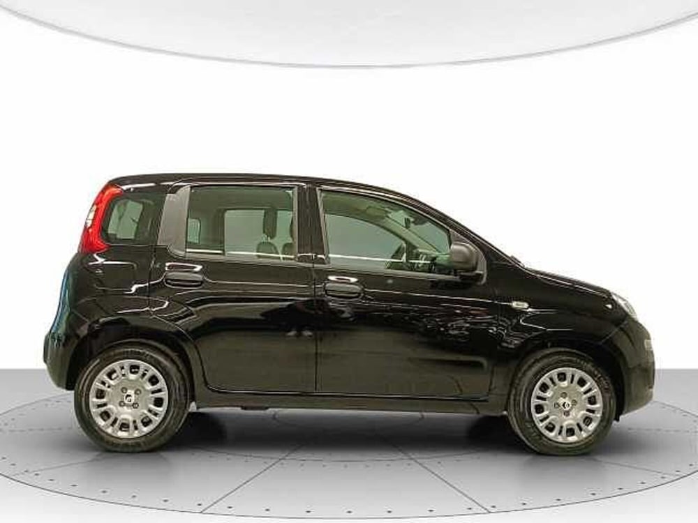 Fiat Panda nuova a Teramo (5)