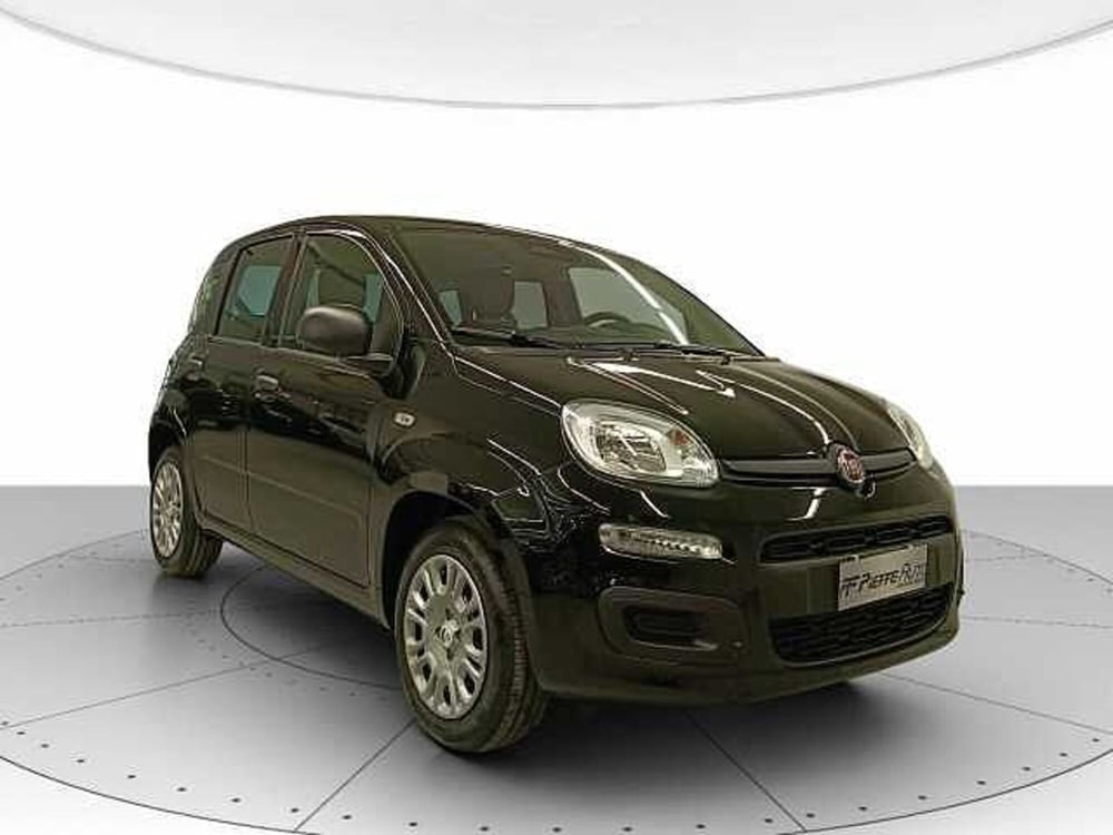 Fiat Panda nuova a Teramo (6)
