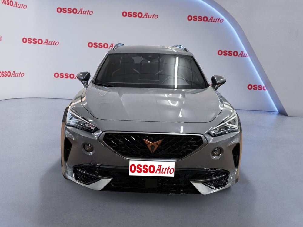 Cupra Formentor usata a Udine (5)