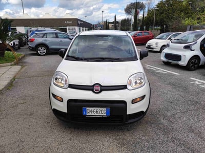 Fiat Panda 1.0 firefly hybrid s&amp;s 70cv 5p.ti del 2023 usata a Roma