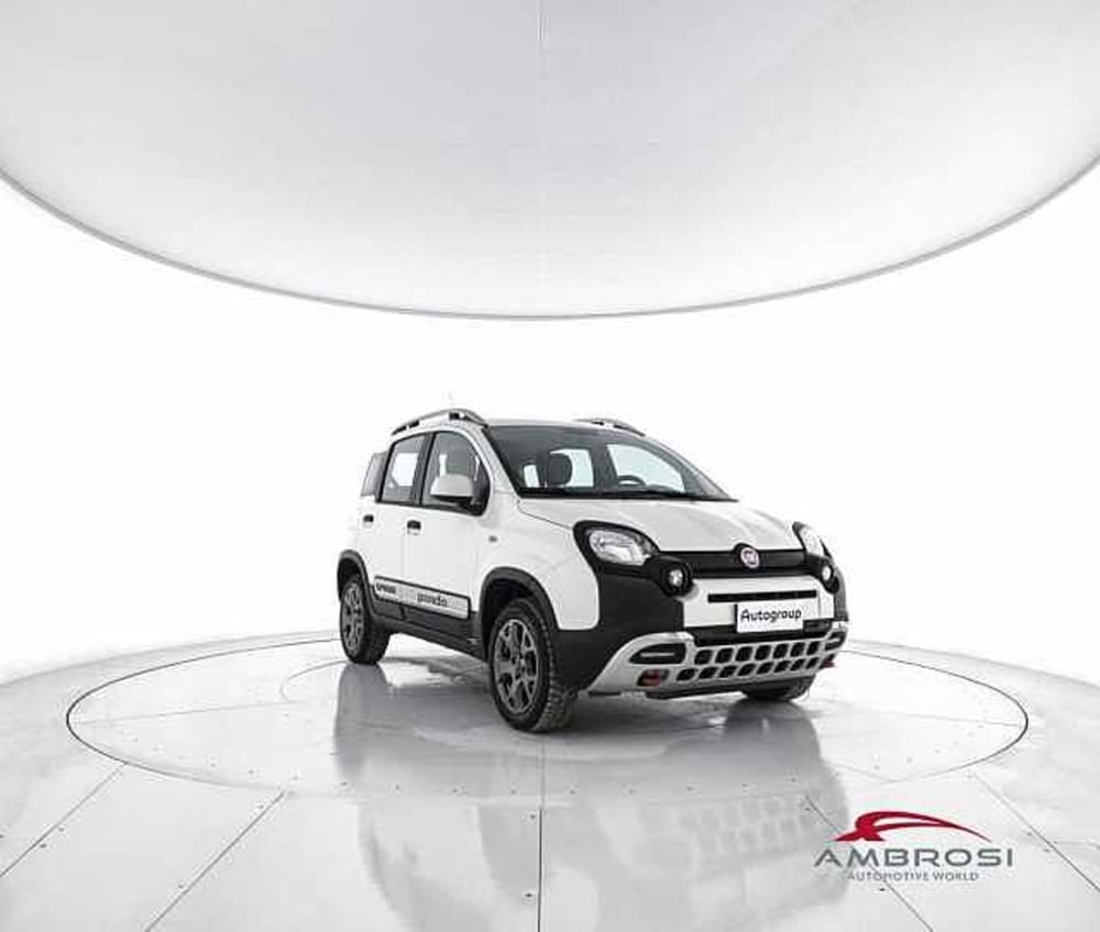 Fiat Panda Cross usata a Viterbo (2)
