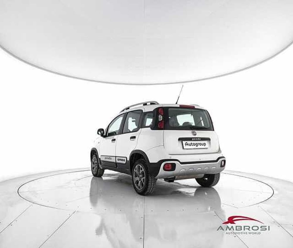 Fiat Panda Cross usata a Viterbo (4)