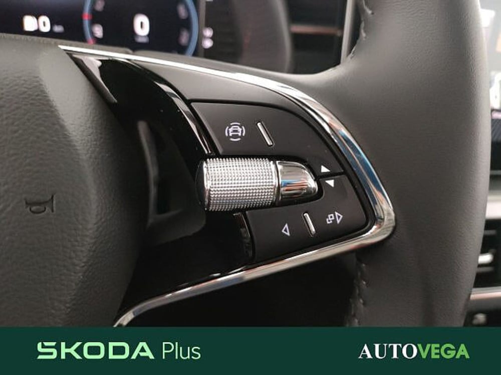Skoda Kamiq usata a Vicenza (15)