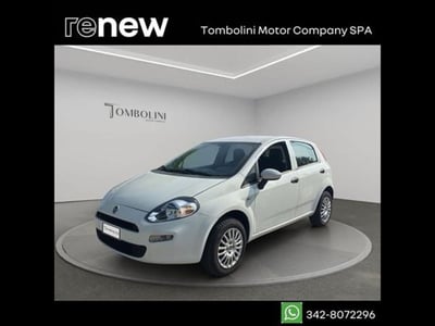 Fiat Punto 1.4 8V 5 porte Natural Power Street del 2017 usata a Civitanova Marche