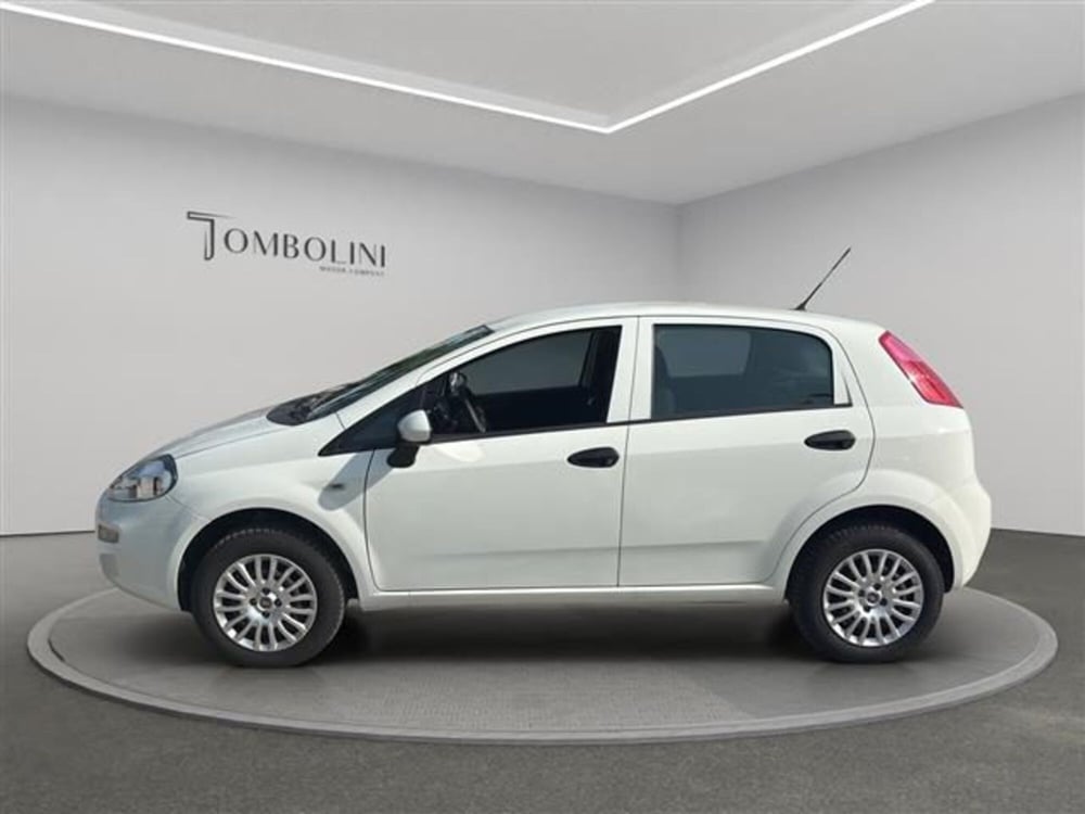 Fiat Punto usata a Macerata (2)