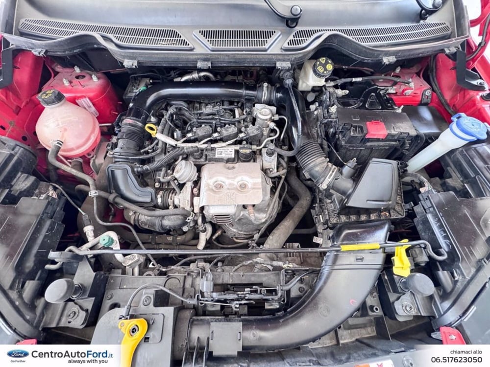 Ford EcoSport usata a Roma (12)