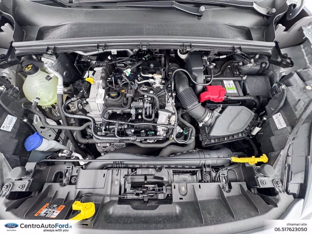 Ford Puma usata a Roma (12)