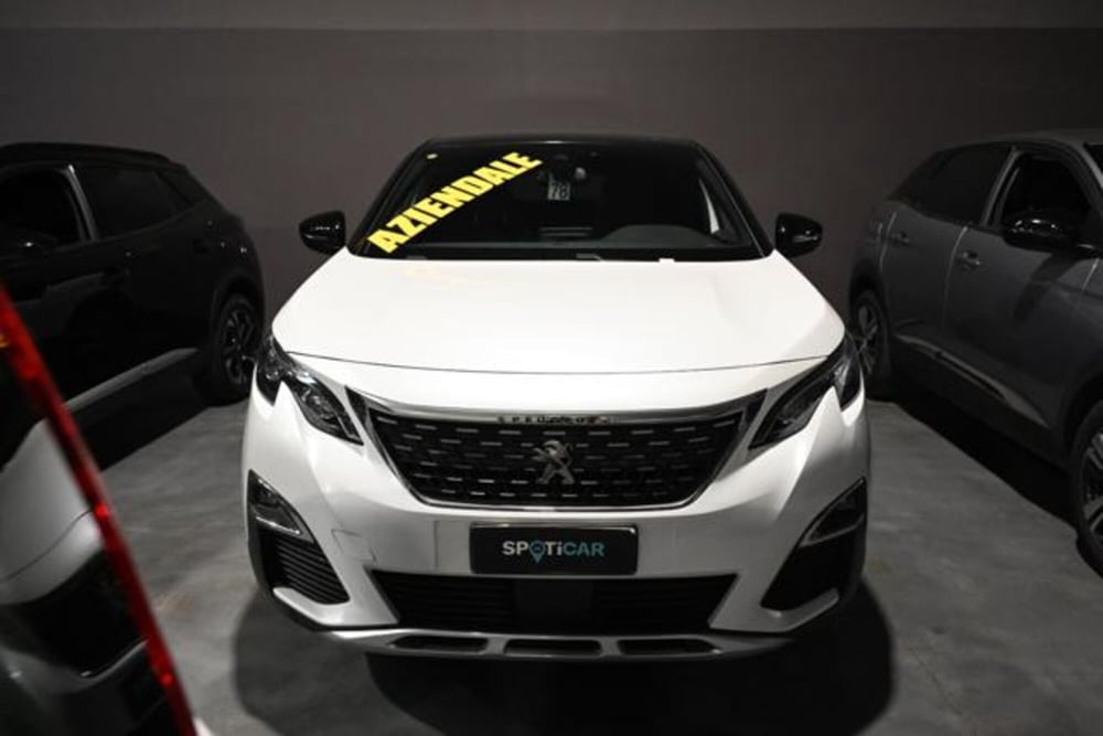 Peugeot 3008 usata a Torino (2)