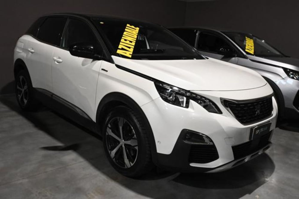 Peugeot 3008 usata a Torino (3)