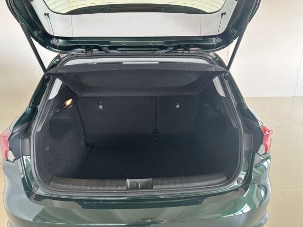 Fiat Tipo usata a Modena (13)