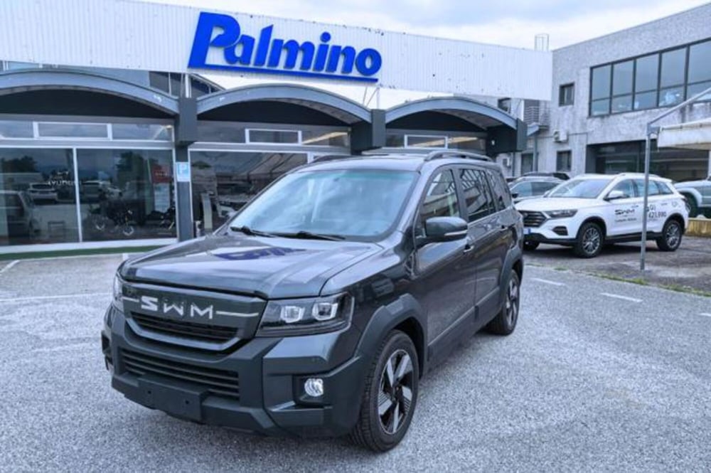 SWM G03F nuova a Udine