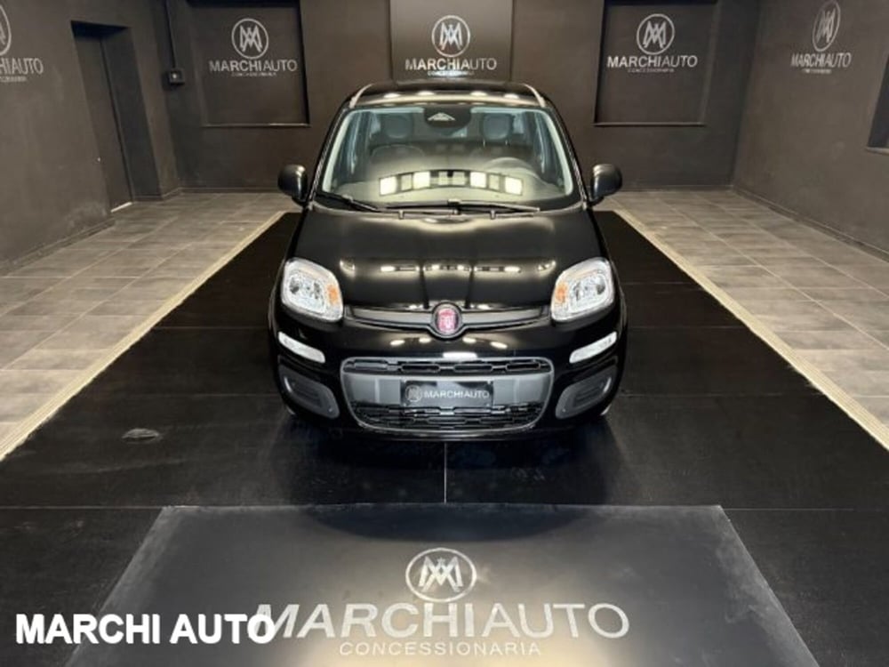 Fiat Panda nuova a Perugia (2)