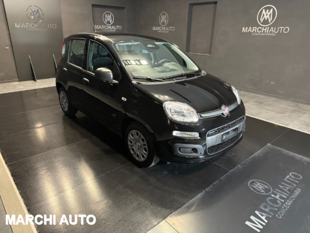 Fiat Panda nuova a Perugia (3)