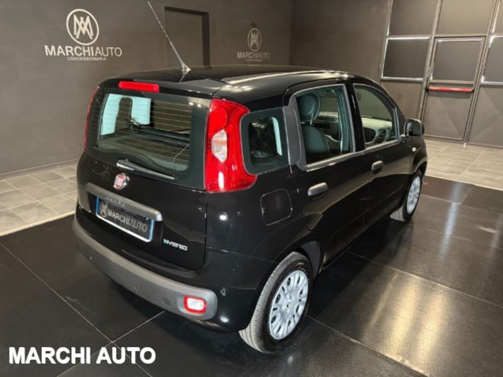 Fiat Panda nuova a Perugia (5)