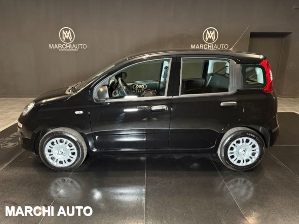 Fiat Panda nuova a Perugia (8)