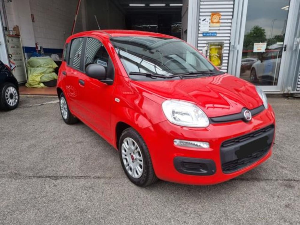 Fiat Panda usata a Monza e Brianza (3)