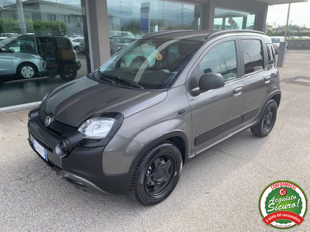 Fiat Panda usata a Lucca