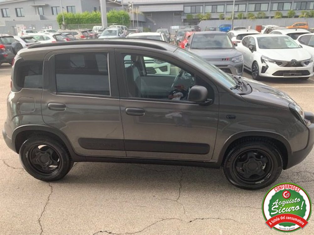Fiat Panda usata a Lucca (4)