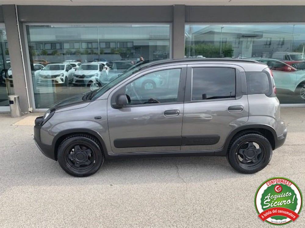 Fiat Panda usata a Lucca (8)