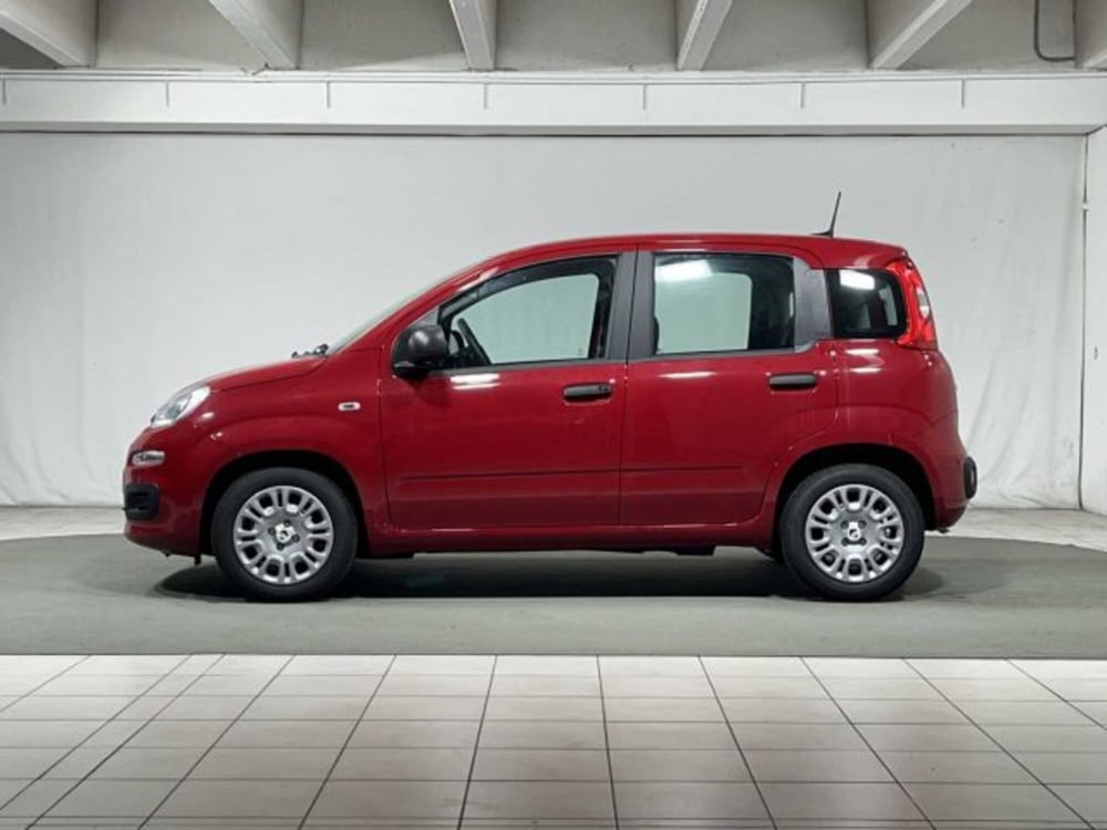 Fiat Panda nuova a Sondrio (2)