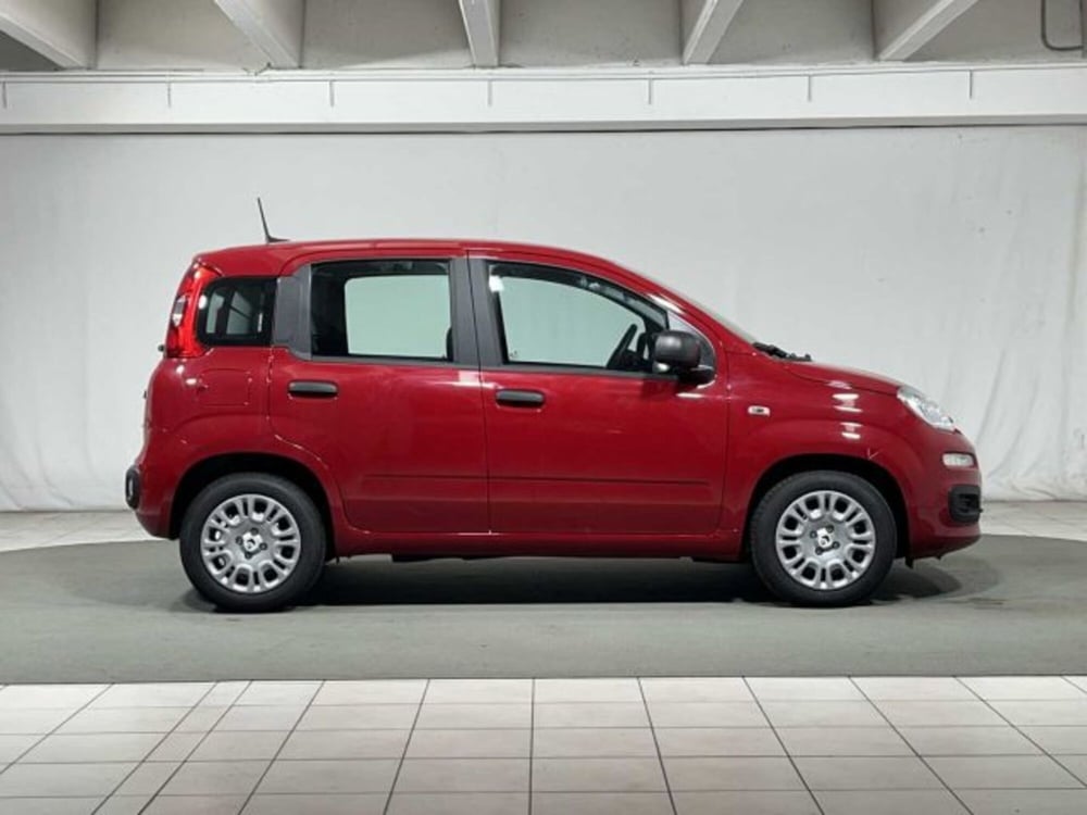 Fiat Panda nuova a Sondrio (6)