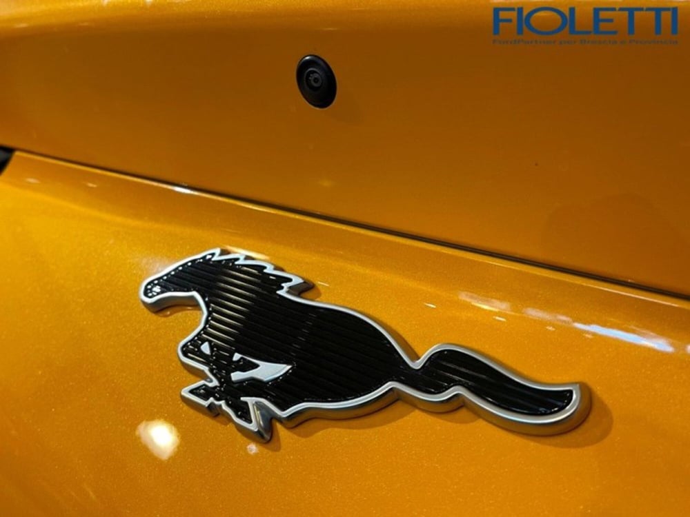 Ford Mustang Mach-E usata a Brescia (20)