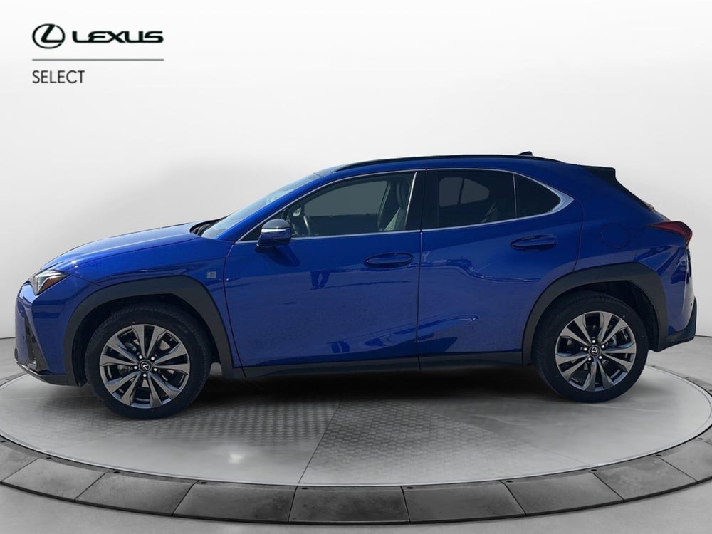 Lexus UX usata a Siracusa (2)