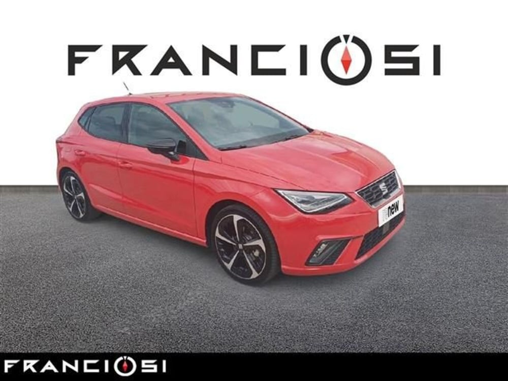 SEAT Ibiza usata a Modena (2)