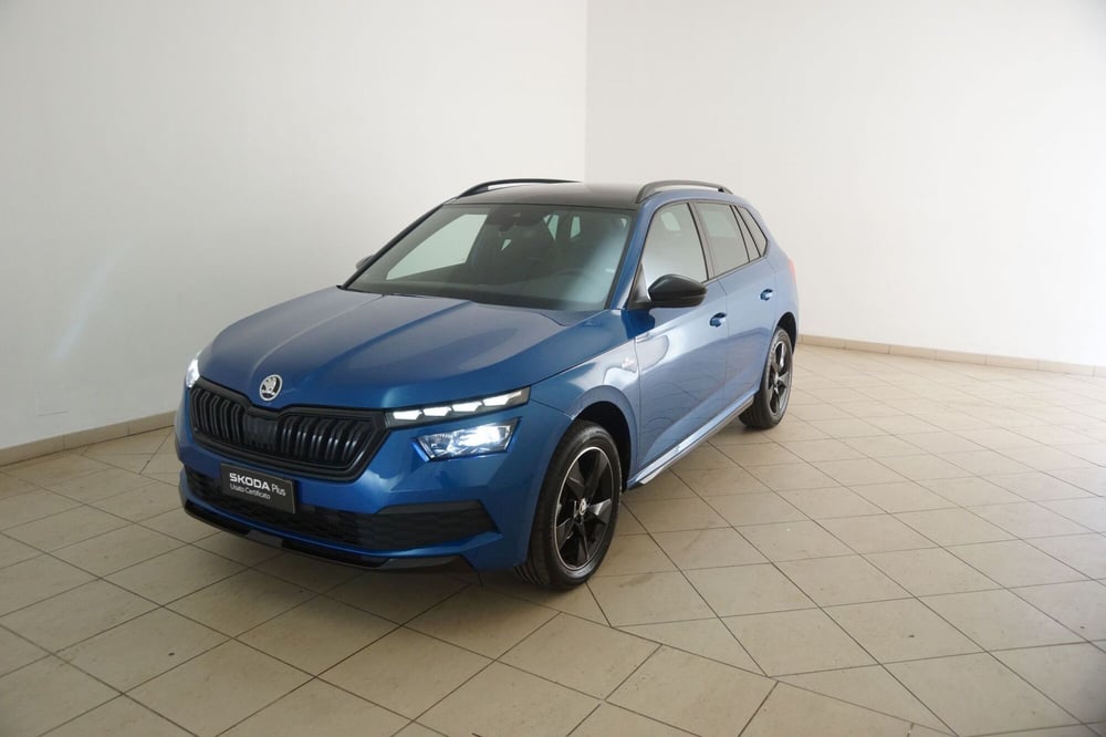 Skoda Kamiq usata a Torino (19)