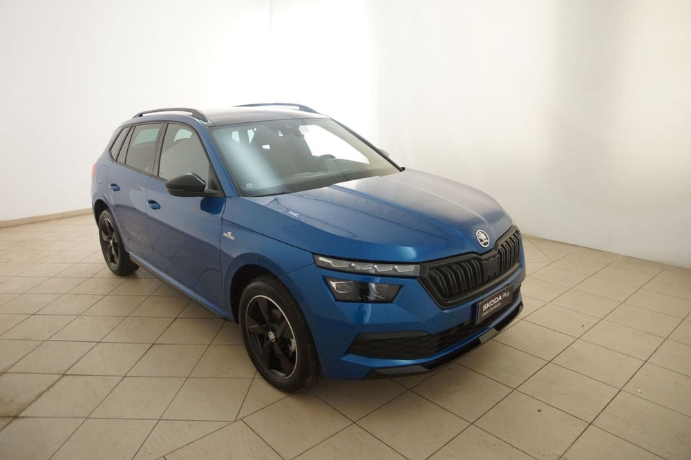 Skoda Kamiq usata a Torino (7)