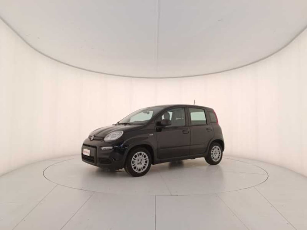 Fiat Panda usata a Treviso