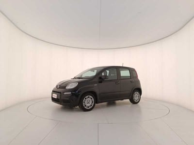 Fiat Panda 1.0 firefly hybrid s&amp;s 70cv 5p.ti del 2024 usata a Treviso