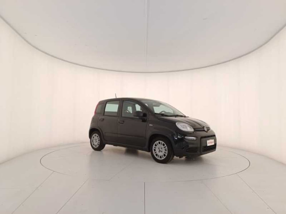 Fiat Panda usata a Treviso (3)