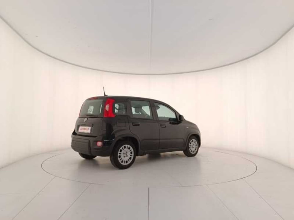 Fiat Panda usata a Treviso (6)