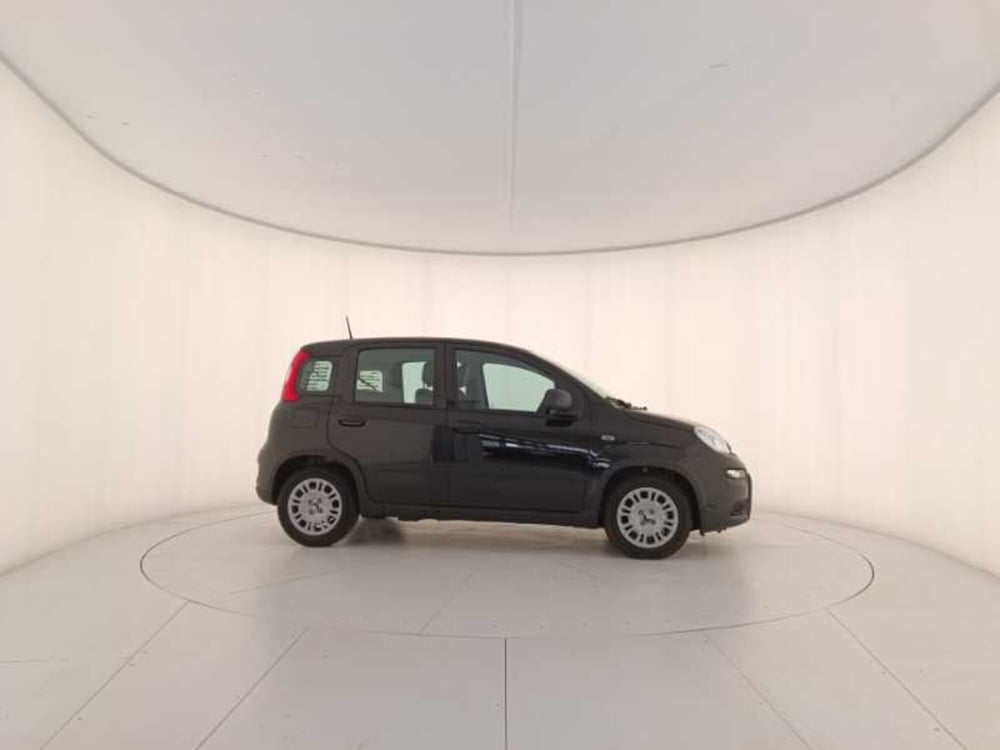 Fiat Panda usata a Treviso (7)